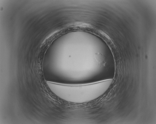 X0000083561112200702090808