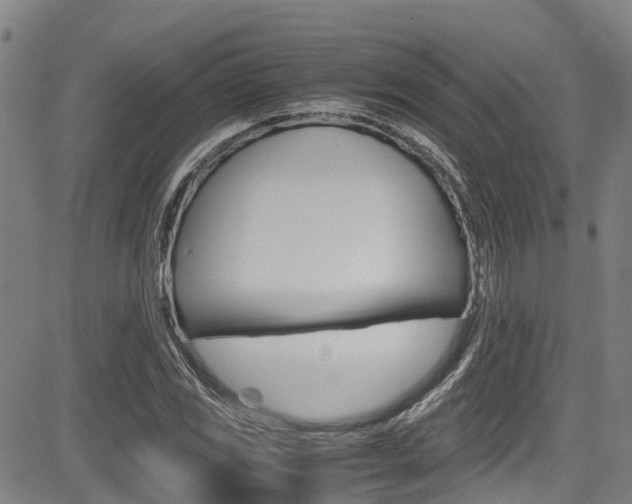 X0000083561117200702090808