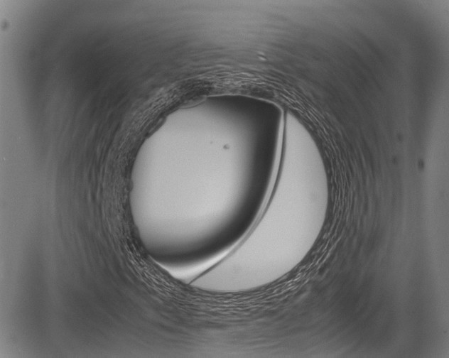 X0000083561153200702090808