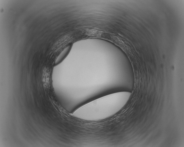 X0000083561154200702090808