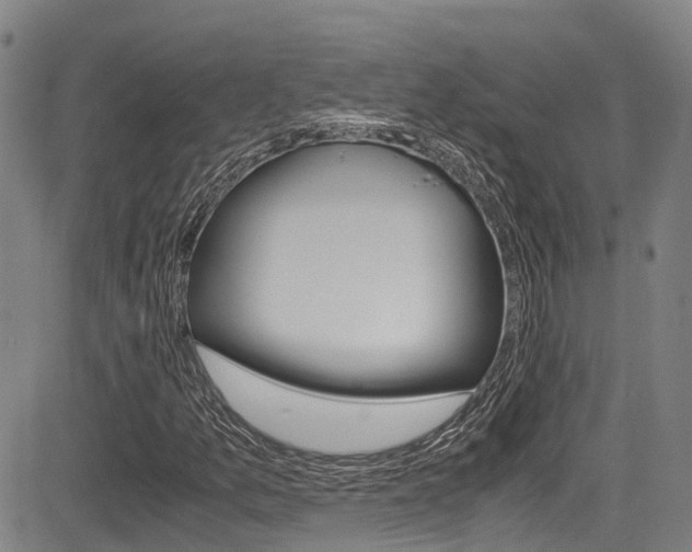 X0000083561157200702090808