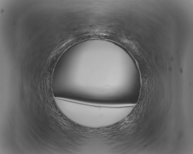 X0000083561159200702090808