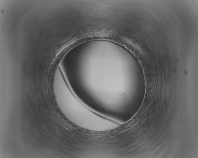 X0000083561160200702090808