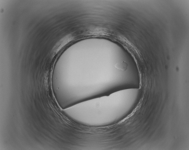 X0000083561162200702090808