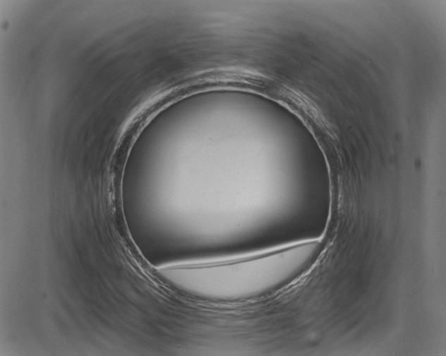 X0000083561164200702090807