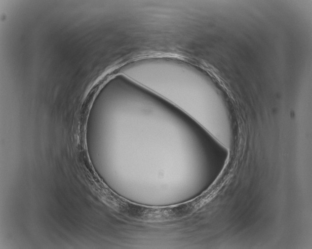 X0000083561165200702090807