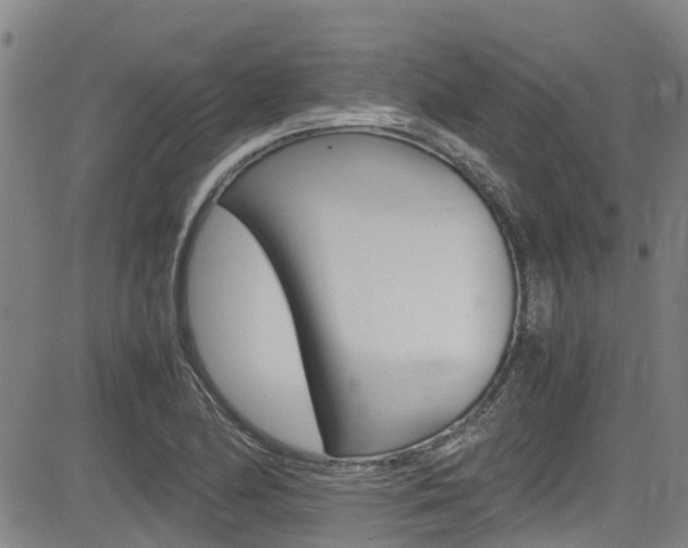 X0000083561174200702090807