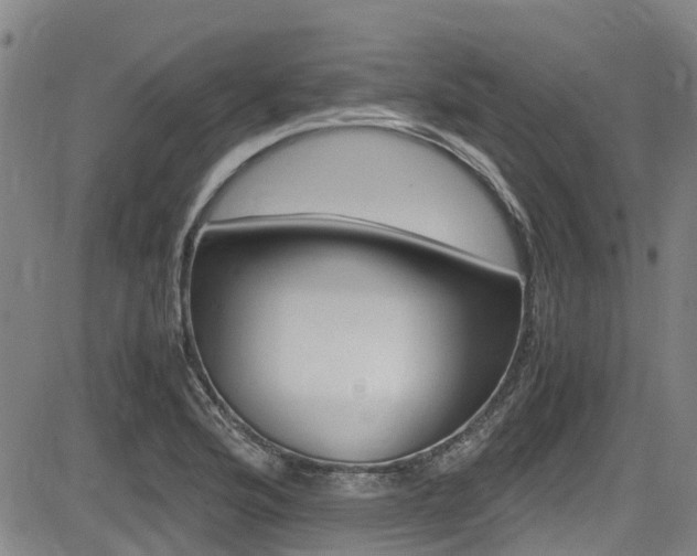 X0000083561176200702090807