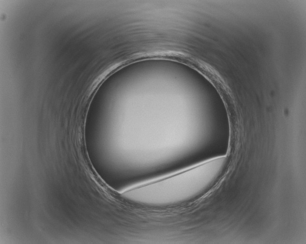 X0000083561177200702090807