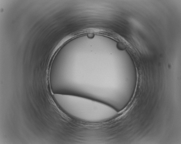 X0000083561178200702090807