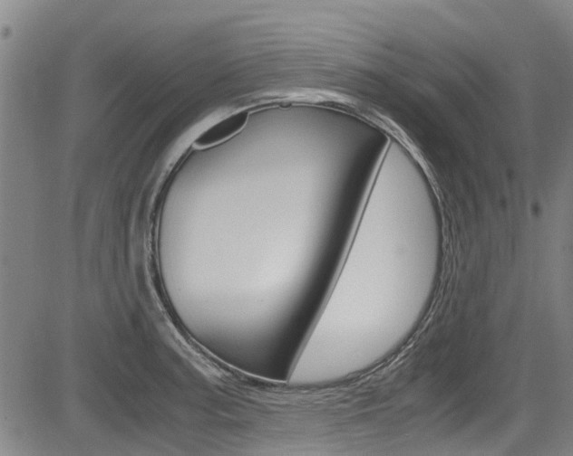 X0000083561187200702090807