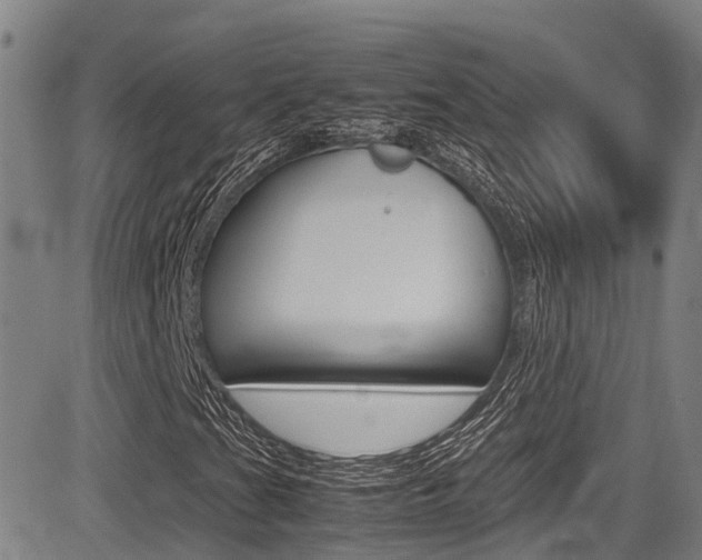 X0000083561201200702090806