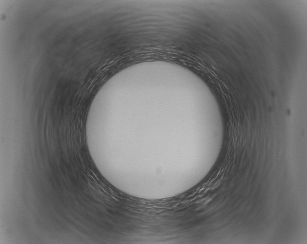 X0000083561202200702090806