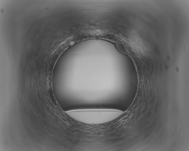 X0000083561205200702090806