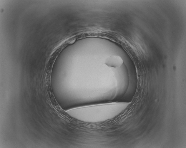 X0000083561208200702090806