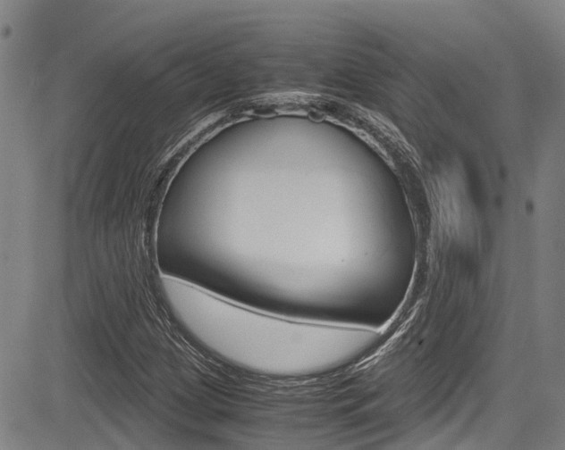 X0000083561209200702090806