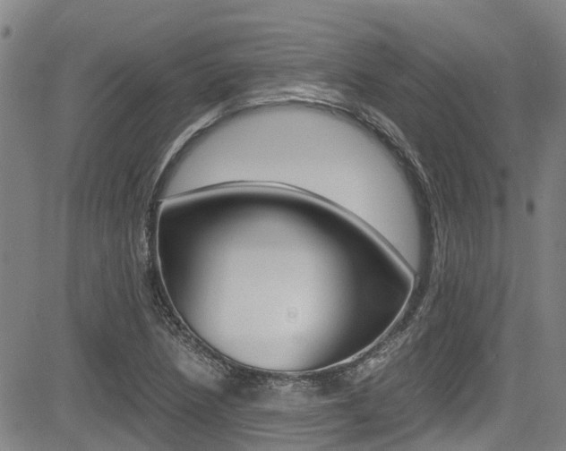 X0000083561218200702090806