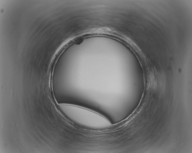 X0000083561224200702090807