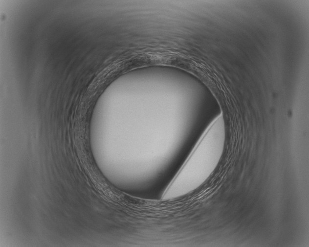 X0000083561249200702090806