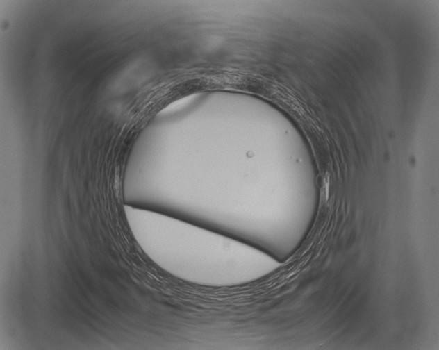 X0000083561251200702090806