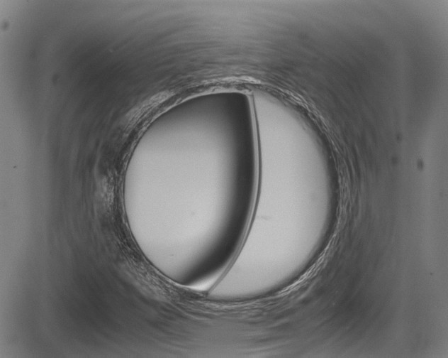 X0000083561257200702090806