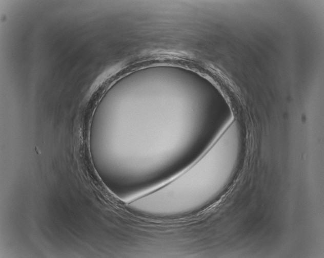X0000083561261200702090806