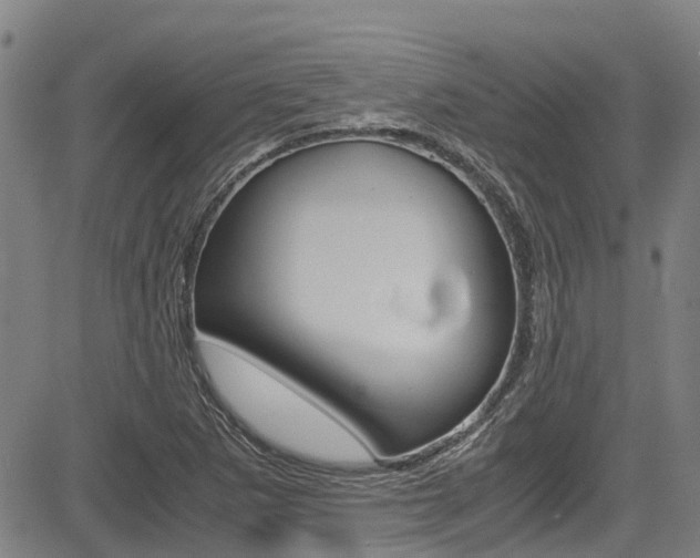 X0000083561265200702090806
