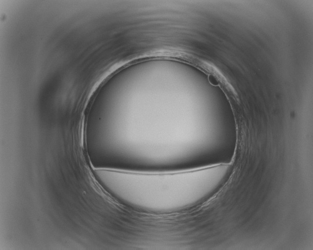 X0000083561276200702090806