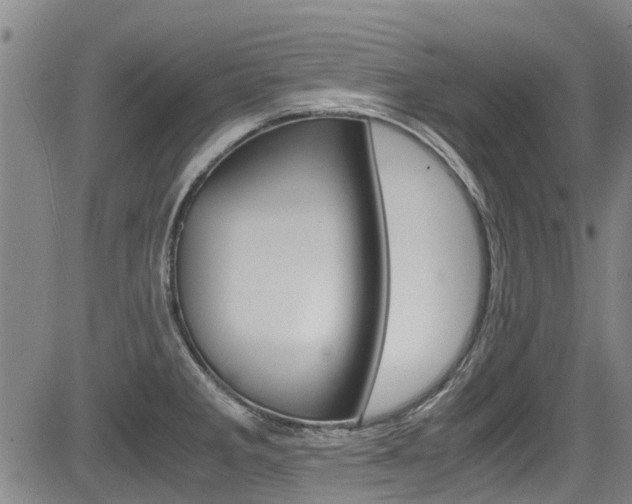 X0000083561285200702090806