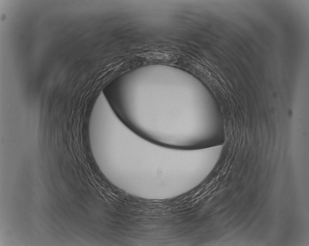 X0000083561297200702090805