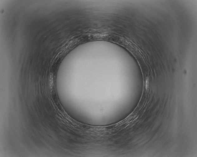 X0000083561299200702090805