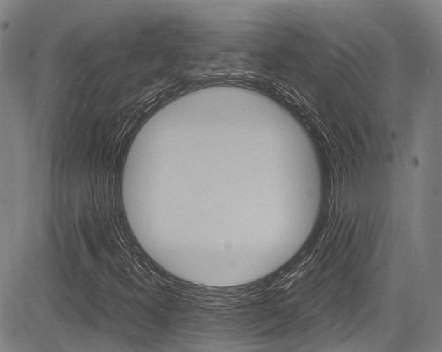 X0000083561300200702090805