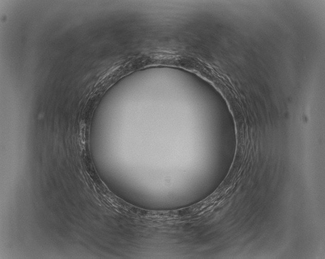 X0000083561301200702090805