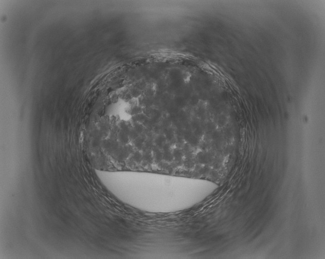 X0000083561302200702090805