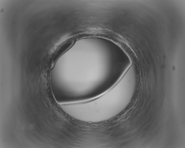 X0000083561304200702090805