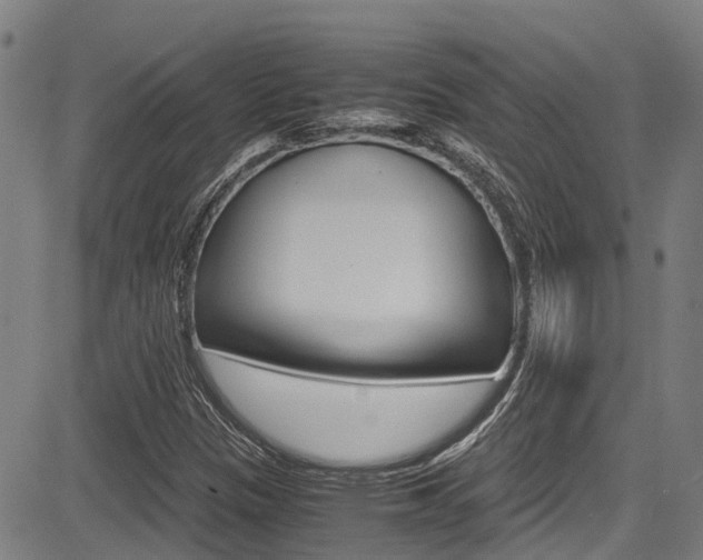 X0000083561305200702090805