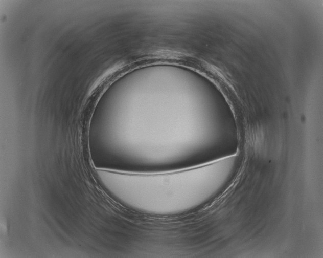 X0000083561307200702090805