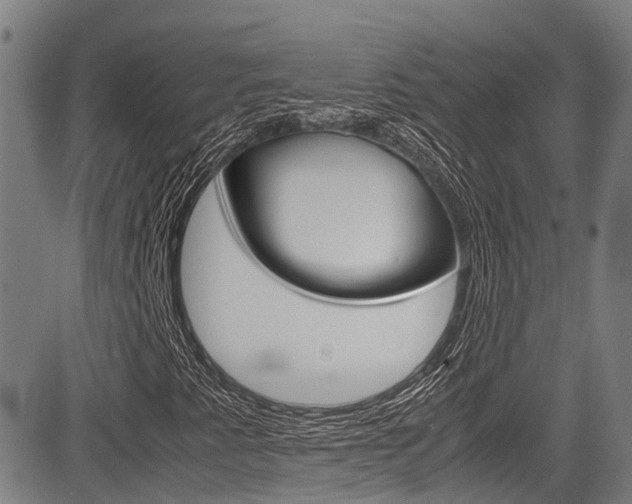 X0000083561345200702090805