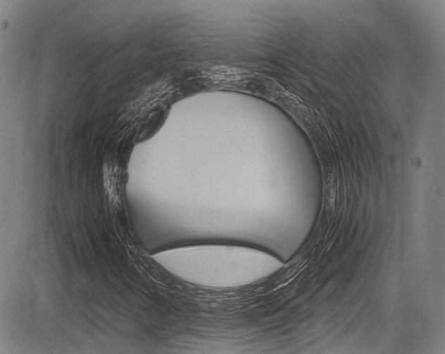 X0000083561346200702090805