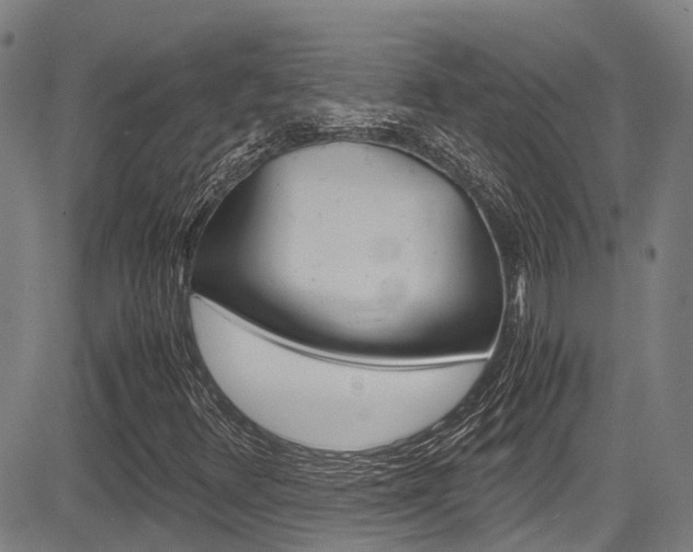 X0000083561348200702090804