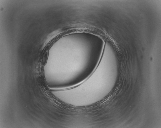 X0000083561352200702090804