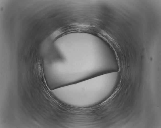 X0000083561354200702090804
