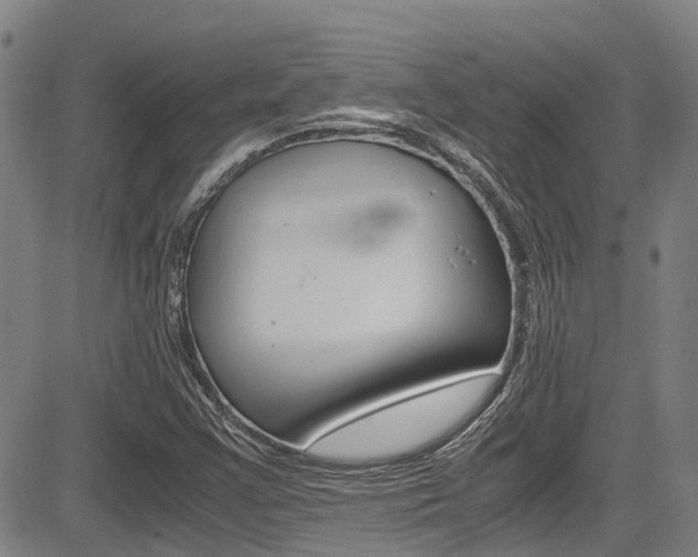 X0000083561355200702090804