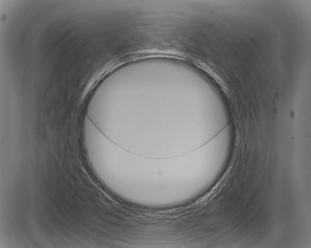 X0000083561357200702090804
