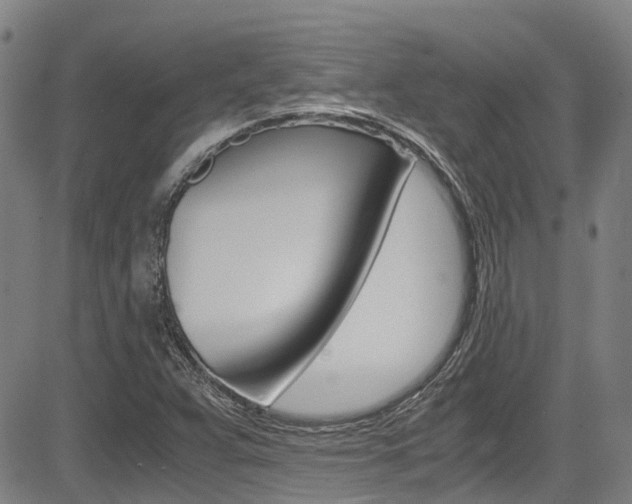 X0000083561359200702090804