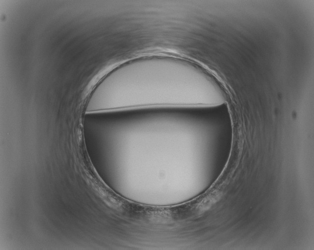 X0000083561363200702090804
