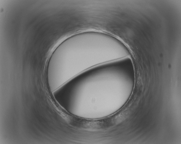 X0000083561367200702090804