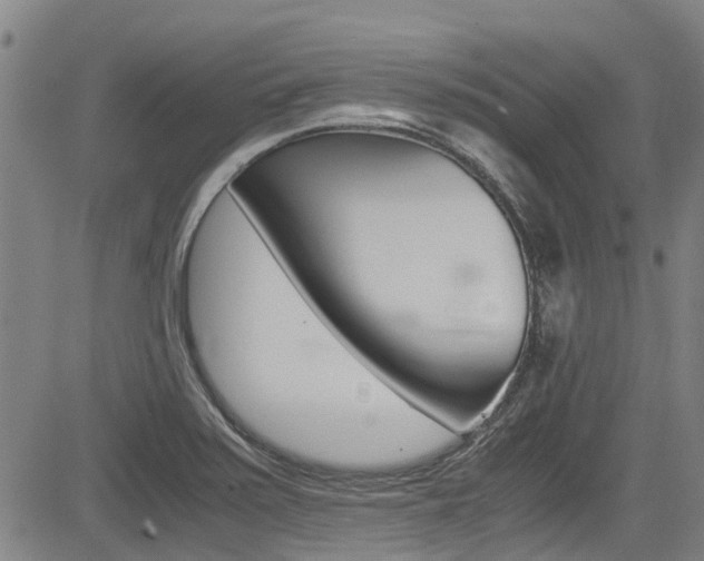 X0000083561371200702090804