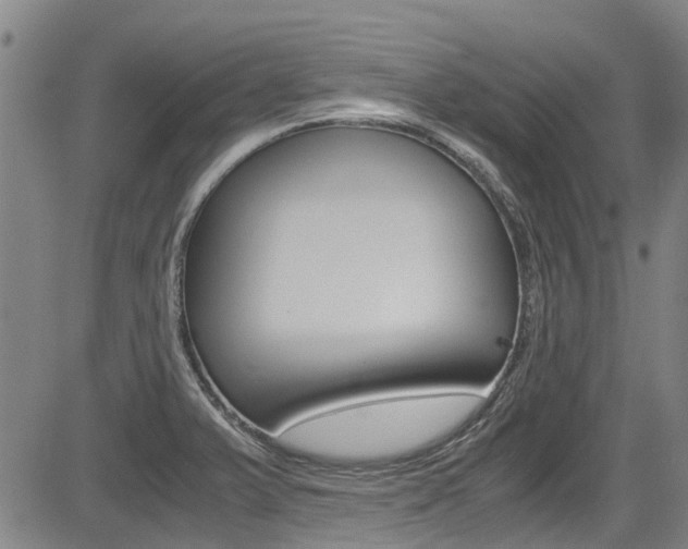 X0000083561375200702090804