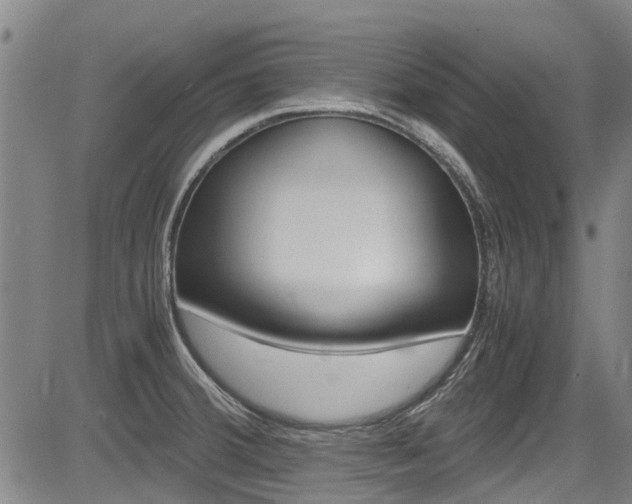 X0000083561380200702090804